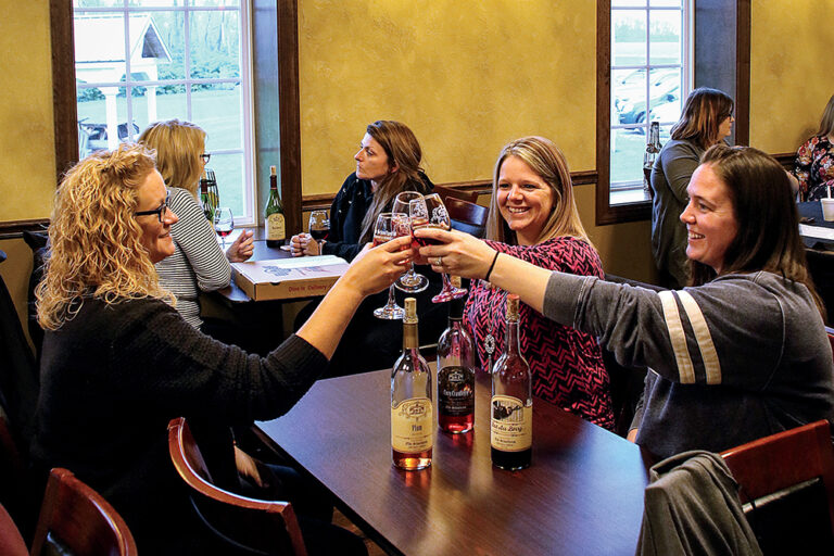 Three women make a toast while enjoying wine at Olde Schoolhouse Vineyard & Winery.