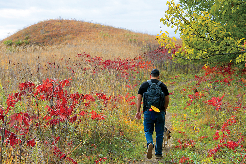A man hikes along a path punctuated ewith fall color at Hitchcock Nature Center.