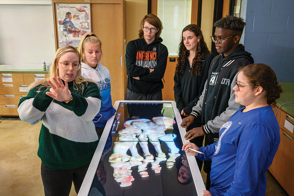 Thomas More University