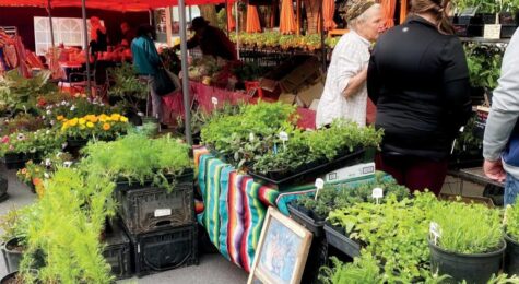 Local farmers markets and restaurants champion the farm-to-table movement in the Palouse region.