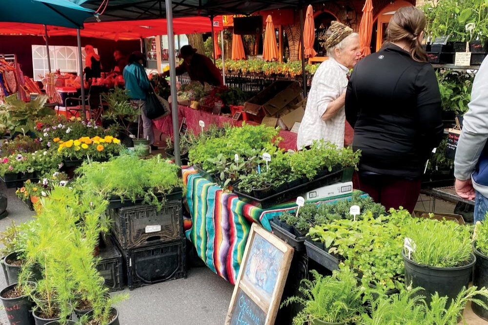 Local farmers markets and restaurants champion the farm-to-table movement in the Palouse region.