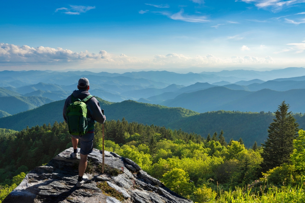 Asheville, NC, is one of the best places to live in the Southeast.