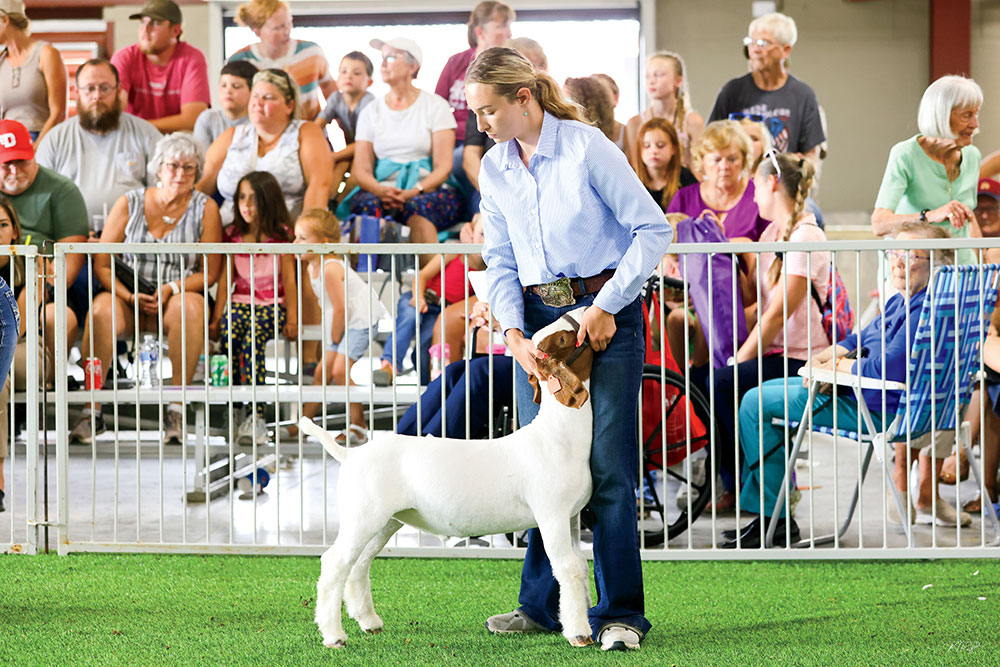 Montgomery County Fair