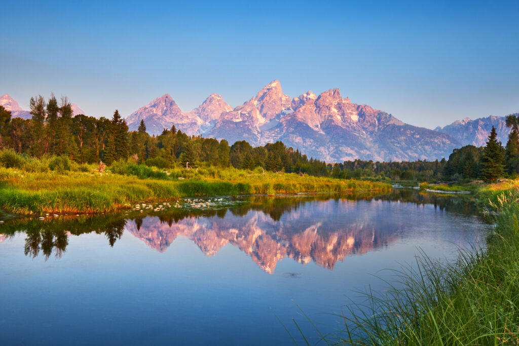 The Tetons reflected in a calm channel of the Snake River at Schwabacher's Landing at sunrise on a summer morning. Though it is a popular winter destination for skiing, Jackson Hole deserves a spot on your summer bucket list.