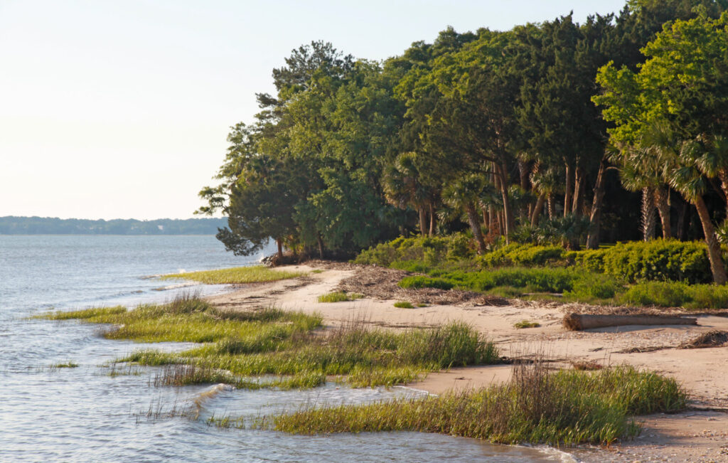 Daufuskie Island - a Natural Wonder - SC