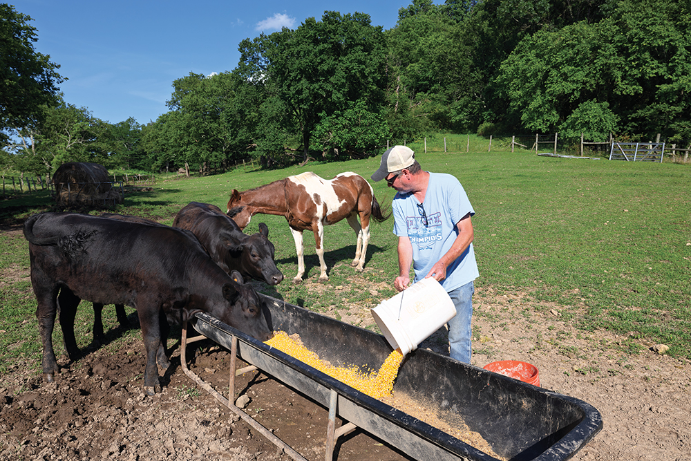 Tim Fox looks feeds his cattle and horse at his family farm in Santa Fe, TN.