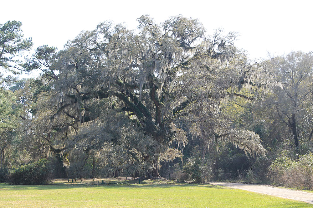 Satsuma, Alabama
