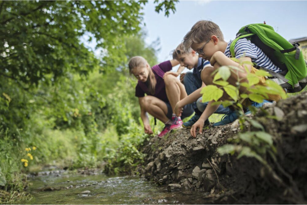 Children playing in a creek in Troy, MI