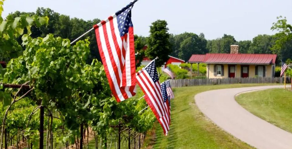 Amber Falls Winery Guest House in Hampshire, TN