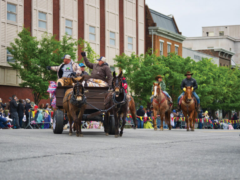 Mule Day in Columbia, TN