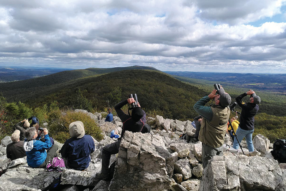 People gaze skyward with binoculars at Hawk Mountain in Pennsylvania.