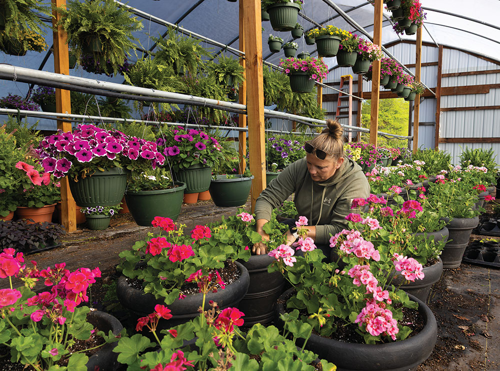 For article about agricultural products in Scott County, IN