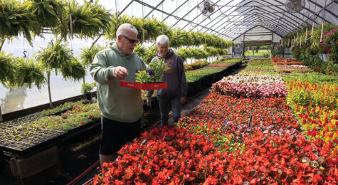 For article about farm fresh finds in Scott County, IN