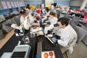 Students work in the Illinois Central College lab. Strong partnerships help support health care careers in Peoria, IL.