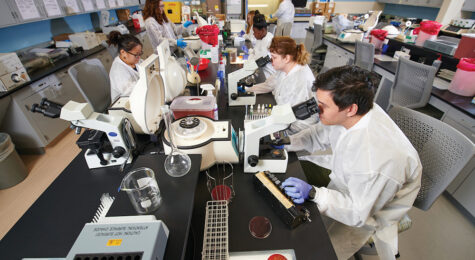 Students work in the Illinois Central College lab. Strong partnerships help support health care careers in Peoria, IL.