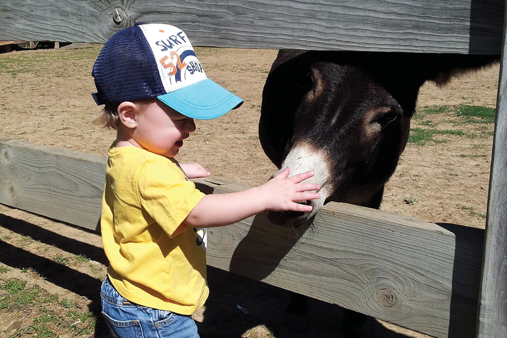 A toddler pets a donkey at Fon du Lac Farm Park in East Peoria, IL.