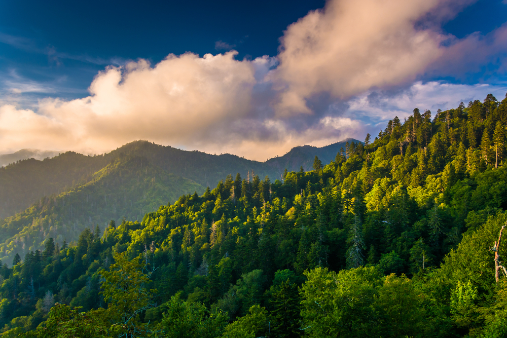 Great Smoky Mountains National Park in Sevier County, TN