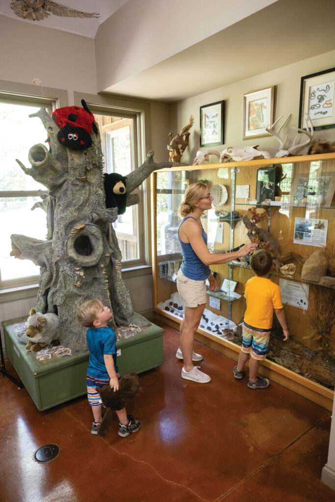 Families play and learn in The Nature Center at Bowie Nature Park in Fairview, TN.
