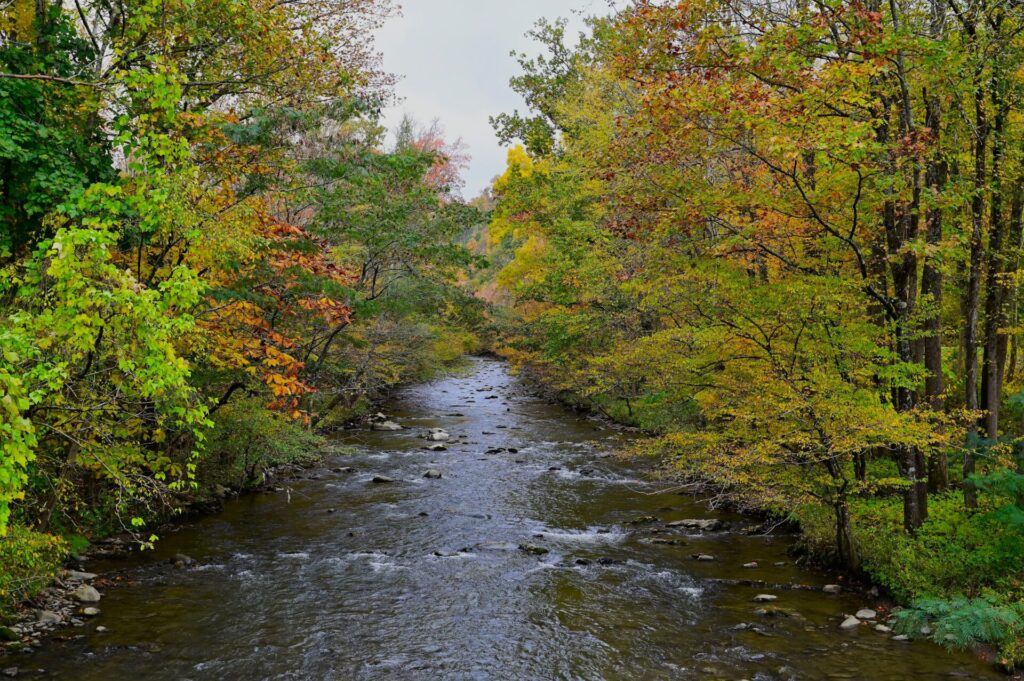 Greenbrier in Sevier County, TN