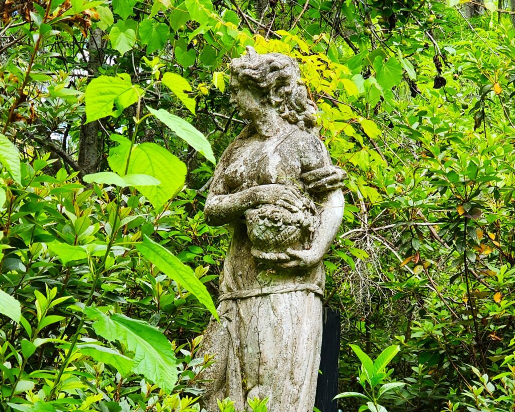Magnolia Plantation Gardens in Charleston, SC
