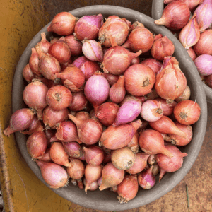 Fresh Start Farms