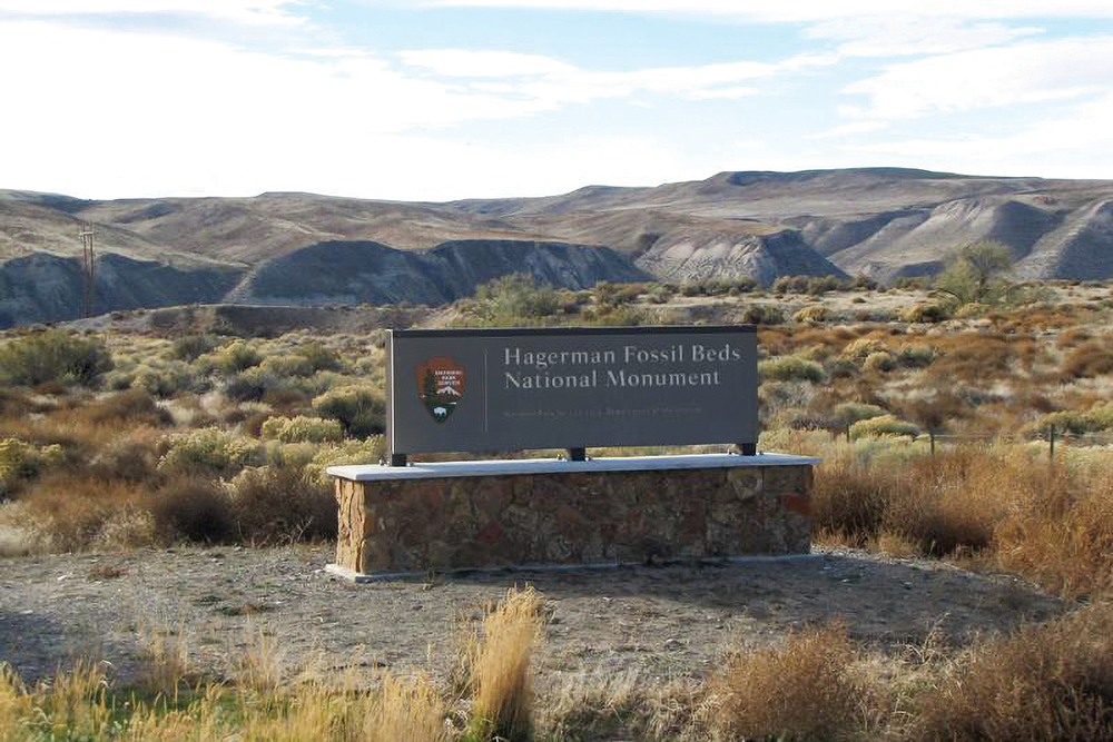From the Hagerman Fossil Beds National Monument monument you will have wonderful views of Hagerman Valley, including wildlife, wild flowers and beautiful scenery.