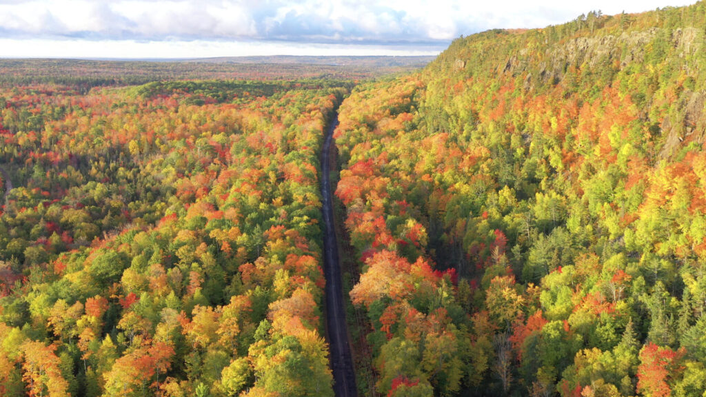 Sightseeing road trip, looking down sunny country road, Autumn, amazing Fall colors, cool breeze in the treetops.
