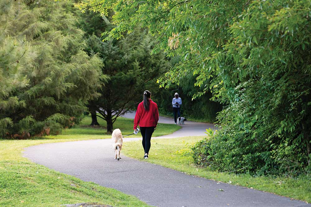 A woman walks her dog along the trail at Jim Warren Park in Franklin.