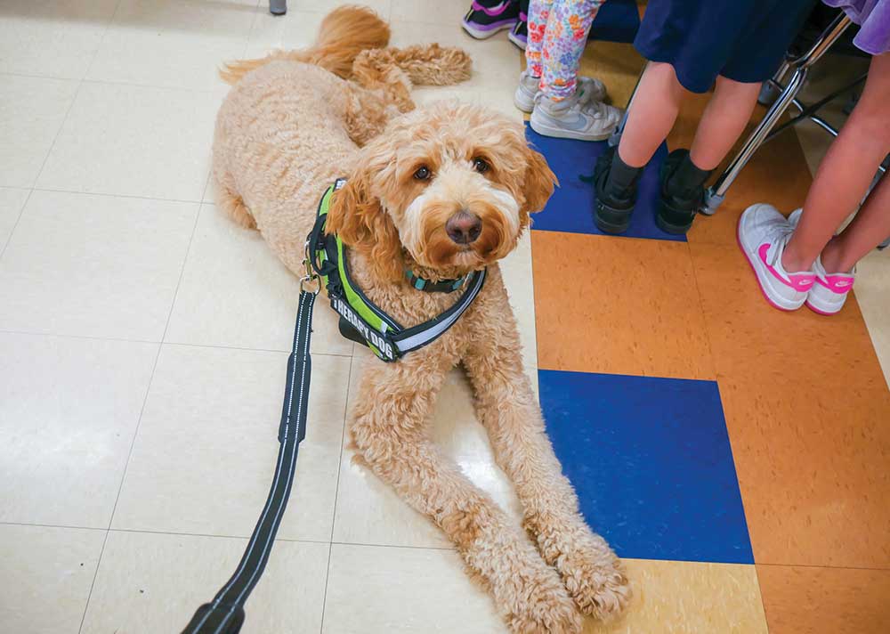 Therapy Dogs in Williamson County Schools