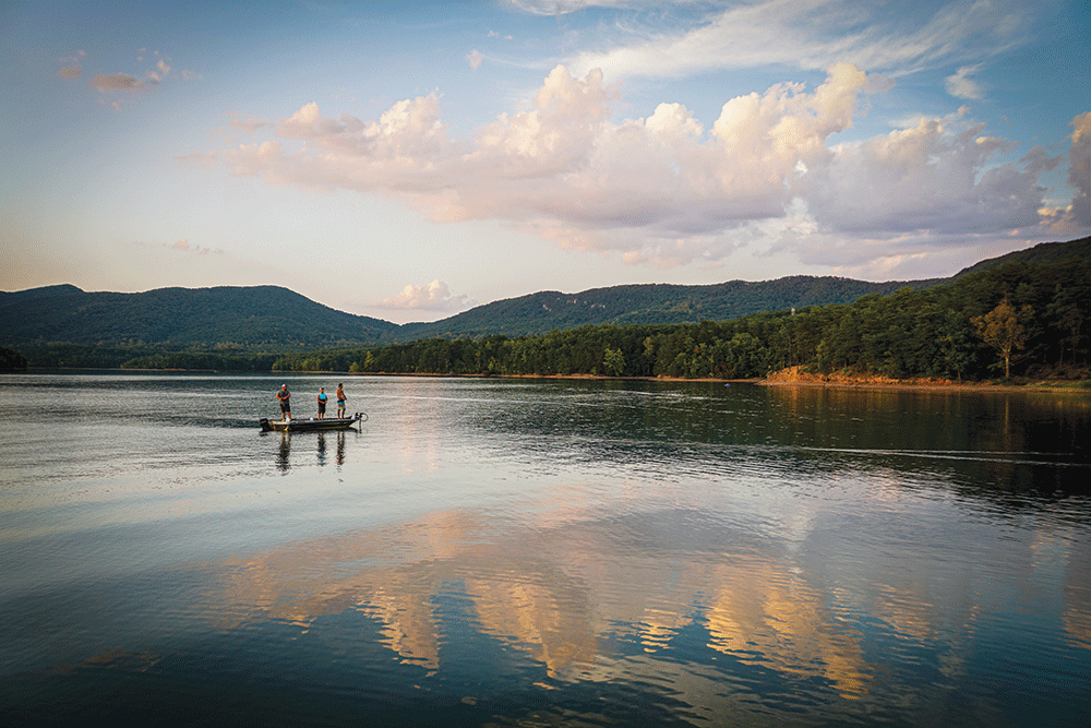 Carvins Cove Natural Reserve