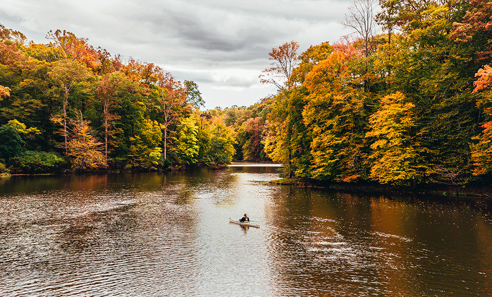 Fountainhead Regional Park
