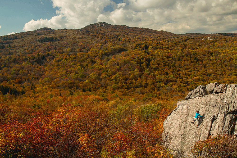 Mount Rogers National Recreation Area