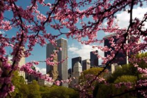 things to do in New York