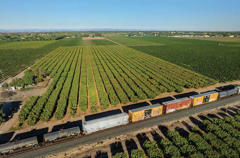 Aerial views of a Union Pacific cargo train passing through vineyards and orchards in Acampo, California.