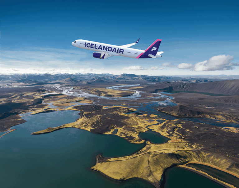 View of jet flying over Iceland.