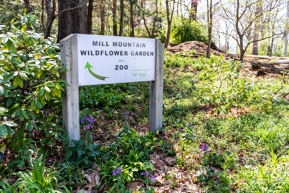 Roanoke, USA - April 18, 2018: Mill Mountain Park in Virginia during spring with sign for Zoo, Wildflower garden, nobody