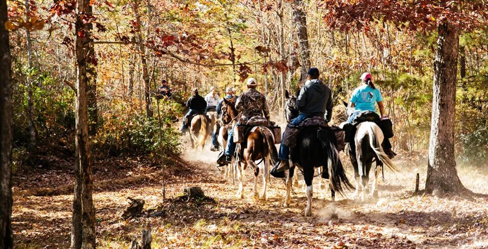 Trail Riding Capital of the Southeast