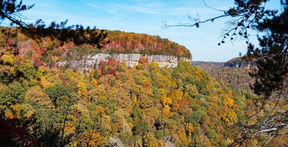 Pickett CCC Memorial State Park