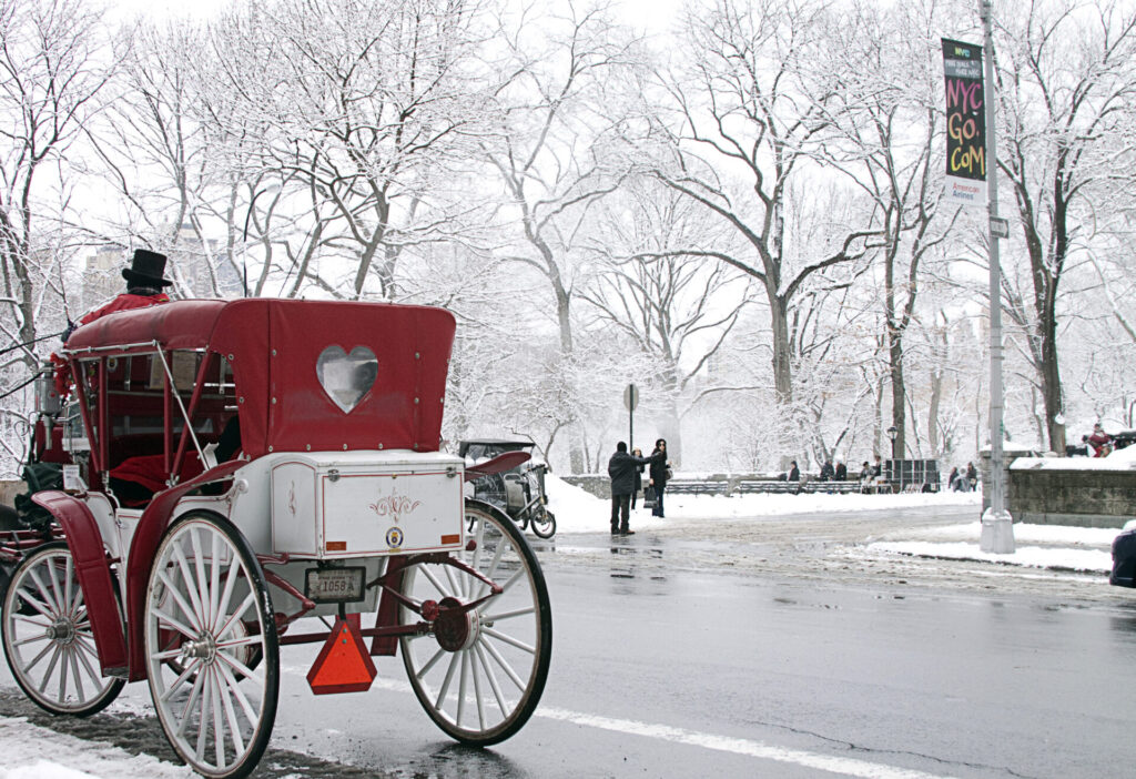 New York, United States - February 21, 2011: View of Central Park, New York after a snow storm during the winter season