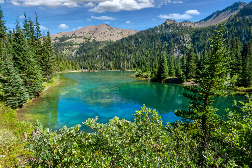 Olympic National Park, located in the north-west corner of Washington State, is the most diverse national park in the USA. The central core of the park has high glaciated mountains and alpine meadows. Surrounding this central region are old growth and temperate rain forests. The park also protects over 70 miles of Pacific Coast wilderness. This view of Grand Lake was photographed from the Grand Ridge Trail near Sequim, Washington State, USA.