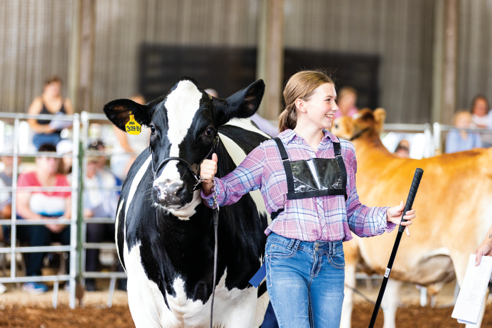 Experience the region’s rich agricultural heritage through the Washington County Fair and Dreamland Alpacas.