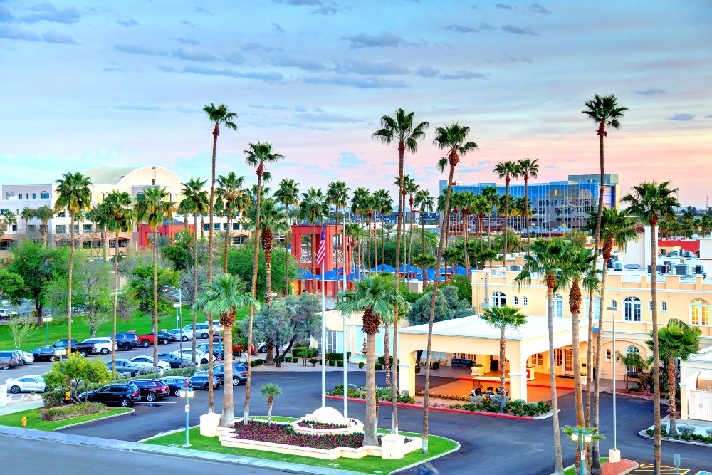 Palm trees and pastel colored buildings punctuate a suburban view of Chandler, Arizona.