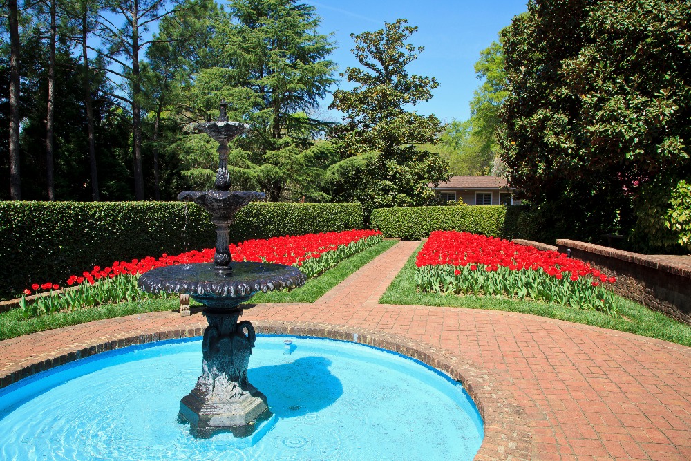 Red tulips in bloom and a water fountain in Concord Memorial Garden garden in North Carolina.