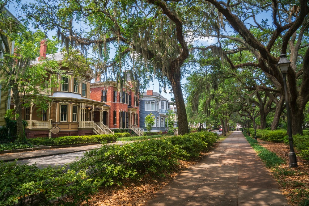 Streets are lined with historic homes and mossy oaks in Savannah, Georgia, on a sunny summer day.