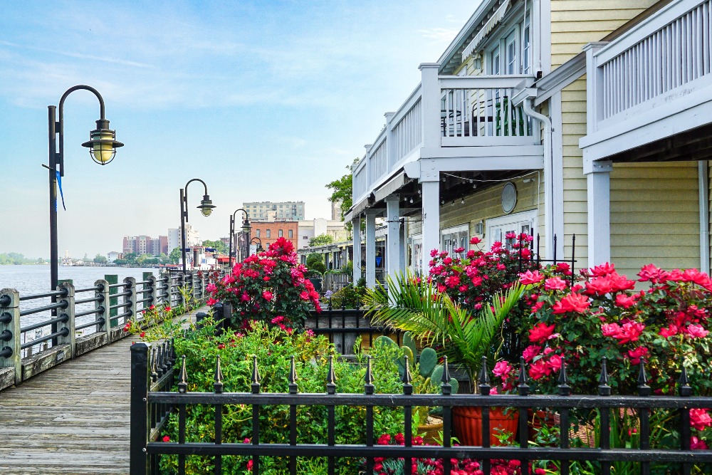Colorful flowers fill a gated area along the Cape Fear riverwalk in Wilmington, NC.