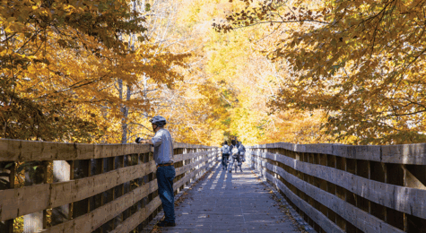 Virginia Creeper Trail near Damascus, VA