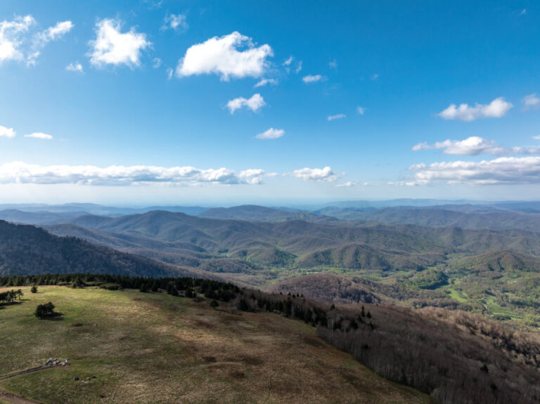 Roan Mountain
