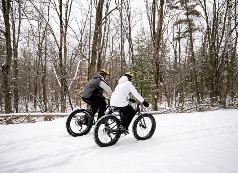 Fat tire biking