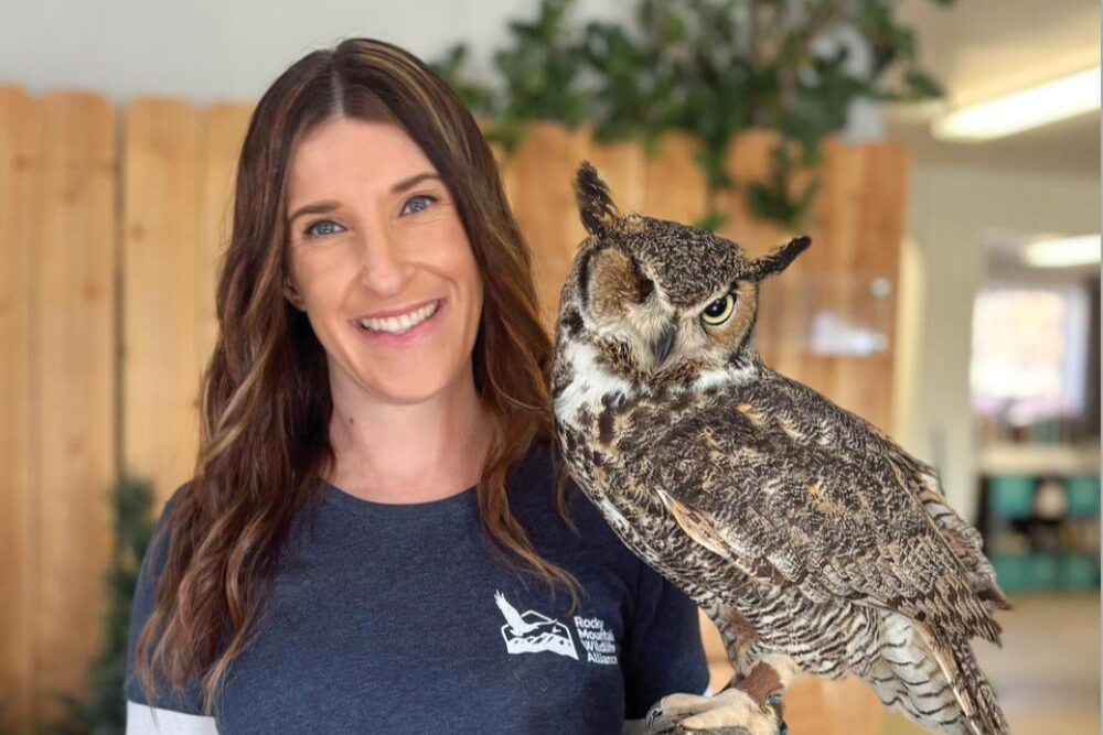 RMWA volunteer with an owl