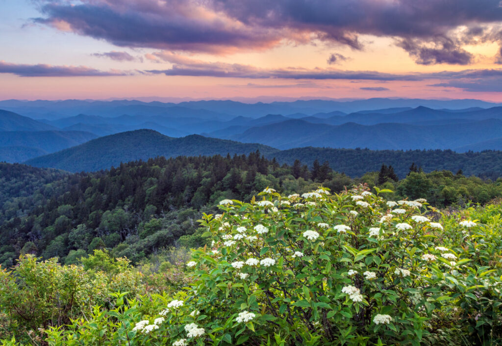 Sunset in the blue ridge mountain range of North Carolina. Overlooking the mountain range of Pisgah national forest in the Great Smokey Mountains near Asheville North Carolina